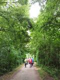 7.06.25 Wandern am Nordkanal