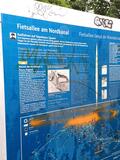 7.06.25 Wandern am Nordkanal,von  Rheinparkcenter bis Büttgen
