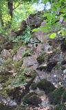 14.06.25 Vom Schaberg nach Unterburg
