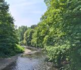 14.06.25 Vom Schaberg nach Unterburg