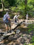 28.06.25 Von der Wupperbrücke Beyenburg zum Stausee