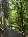 28.06.25 Von der Wupperbrücke Beyenburg zum Stausee