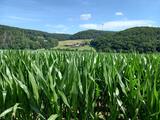 19.07.25 Über den Bergerhof nach Langenberg