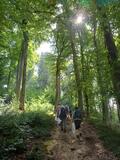 26.07.25 Müll-weg-Wanderung Erkrath