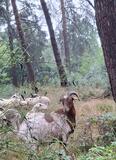 2.08.25 Über Sanddünen und Quarzit, Wahnerheide