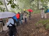 2.08.25 Über Sanddünen und Quarzit, Wahnerheide