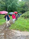 2.08.25 Über Sanddünen und Quarzit, Wahnerheide