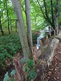 23.08.25 Wanderung rund um Witzhelden