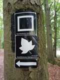 23.08.25 Rundwanderung um Witzhelden