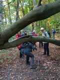 18.10.25 Wir wandern von Cronenberg nach Gräfrath