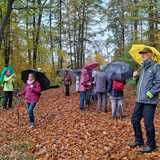 01.11.25  Auf dem Weg vom Dorper Hof nach Unterburg