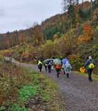 01.11.25  Mit Vera von Dorper Hof nach Unterburg