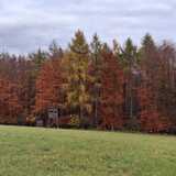 08.11.25  Von EN-Voerde nach Breckerfeld-Zurstraße