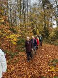 15.11.25  Durch den herbstlichen Wald nach Erkrath