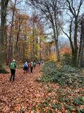 15.11.25  Durch den herbstlichen Wald nach Erkrath