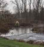 20.05.25 entlang der Erft