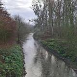 20.05.25 entlang der Erft