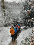 3.01.26 Rundwanderung Aaper Wald