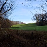 17.01.26 Rundwanderung zwischen Opladen und Leichlingen