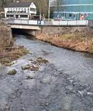 24.01.26 Grünkohlwanderung