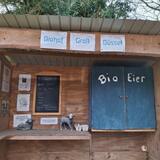 31.01.26 Durchs Osterholz