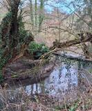 31.01.26 Durchs Osterholz