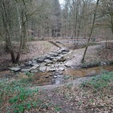 14.02.26  Niederrheinische Landschaft zwischen  Langenfeld, Hilden und Garath