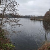 14.02.26  Niederrheinische Landschaft zwischen  Langenfeld, Hilden und Garath