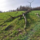 7.03.26 Durch die Elfringhauser Schweiz