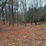 14.03.26 Über den Ehrenberg nach Beyenburg