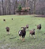 14.03.26 Über den Ehrenberg nach Beyenburg