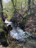6.04.26 Ostermontag, Rundwanderung Aprather Mühle