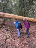 12.04.26 Kupferdreher Rundweg