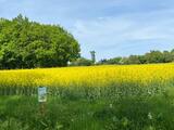 2.05.26  Rund um Haan