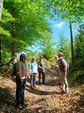 09.05.26  Wanderung mit Vera von Radevormwald durchs Bergische Land