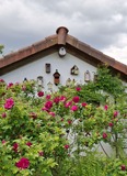 16.05.26 Mehrfamilienhaus auf dem Weg nach Ohligs