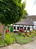 16.05.26 Durch das Nacker-Bachtal und das Lochbachtal nach Ohligs