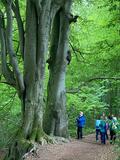 16.05.26 Wanderung durch das Nacker-Bachtal und das Lochbachtal rund um  Ohligs
