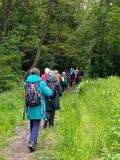 16.05.26 Wanderung durch das Nacker-Bachtal und das Lochbachtal rund um  Ohligs