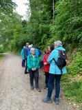 16.05.26 Mit Reinhard durch das Nacker-Bachtal und das Lochbachtal rund um  Ohligs