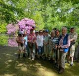 23.05.26 Unsere Wandergruppe auf dem Weg durch die Ohligser und Hildener Heide