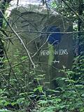 23.05.26 Das Hermann-Löns-Denkmal im Grenzbereich Hildener-/Ohligser-Heide