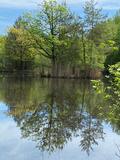 23.05.26 Schöne Seen in der Ohligser Heide.