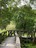 23.05.26 Durch die Ohligser und Hildener Heide