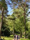 23.05.26 Mit Wolfgang durch die Ohligser und Hildener Heide