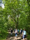 23.05.26 Mit Wolfgang durch die Ohligser und Hildener Heide