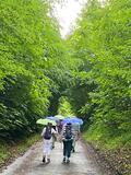 30.05.26 Ein paar Regentropfen fielen nur zu Beginn der Wanderung rund um Ratingen
