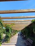 25.07.26 Solinger Bachtäler / Naturpfad-Botanischer Garten