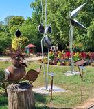 25.07.26 Solinger Bachtäler / Naturpfad-Botanischer Garten