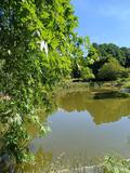 25.07.26 Solinger Bachtäler / Naturpfad-Botanischer Garten